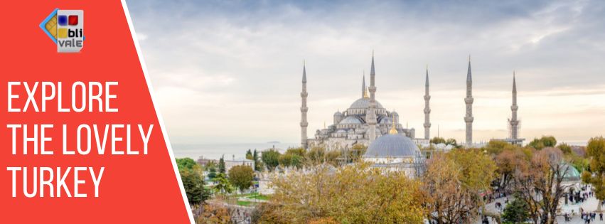 blivale_blog_en_turkey_851x315 Blog - Results from #320