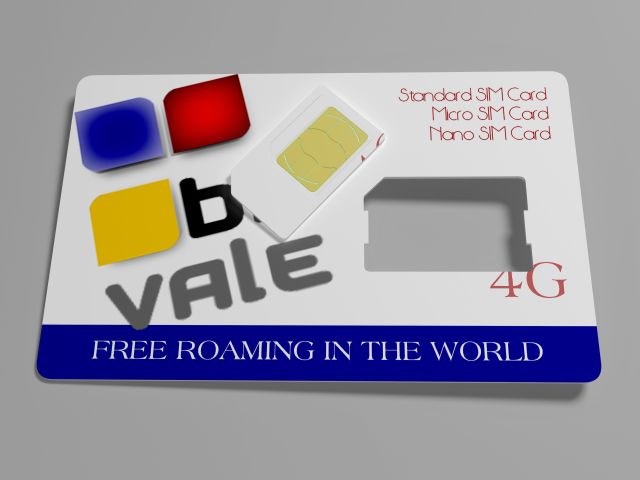 blivale_image_simcard_640x480 What can I do? What are the advantages? With the SIMs of BLIVALE