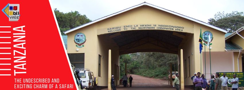 blivale_tanzania_undescribed_exciting_charm_safari_851x315 Blog - Results from #340