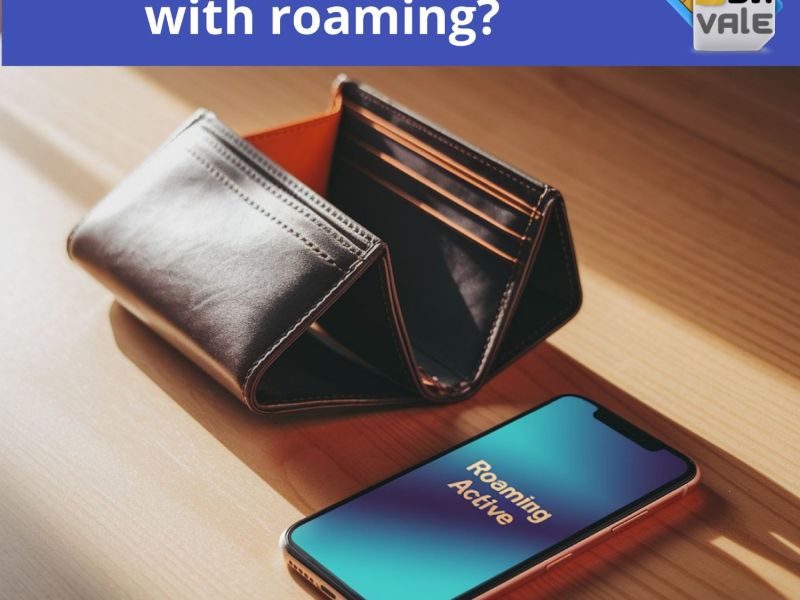 blivale-image-en-are-you-wasting-money-with-roaming-800-600-80-c blivale image en are you wasting money with roaming