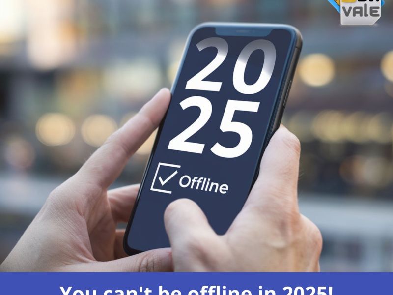 blivale-image-en-you-can-t-be-offline-in-2025-800-600-80-c blivale image en are you wasting money with roaming